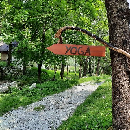 Stara Hisa Log Cezsoski Exterior foto