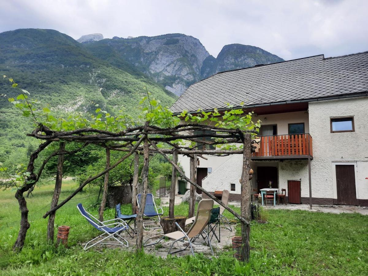 Stara Hisa Log Cezsoski Exterior foto