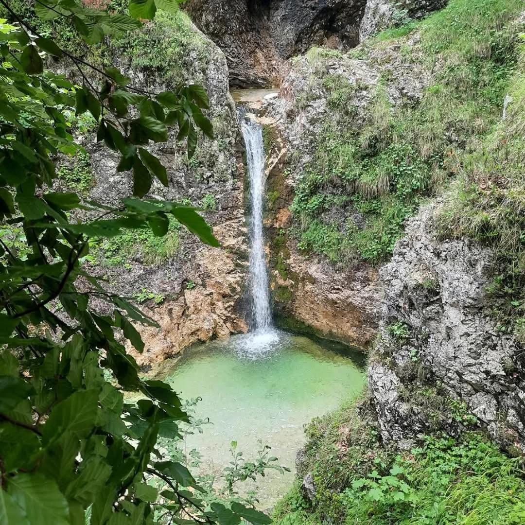 Stara Hisa Log Cezsoski Exterior foto